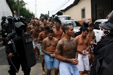 Ms 13 Gang Members Behind Bars Photos Images Gallery 69034