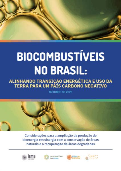 Como É O Uso De Biocombustíveis No Brasil - Biocombustíveis no Brasil: alinhando transição energética e uso da ...