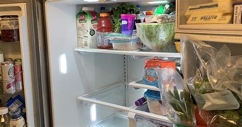 Salmonella Fridge Album On Imgur