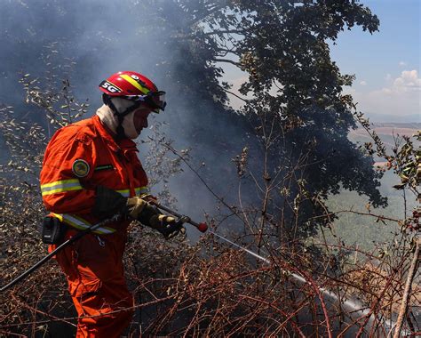 Boschi E Incendi Una Mappa Dettagliata Con Vincoli E Indicazioni Per