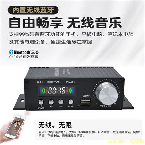 擴大機 全新大功率tpa3116d2雙聲道藍牙u盤音樂無損音樂播放器小功放 露天市集 全台最大的網路購物市集