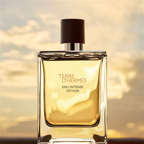 Hermes Terre d’Hermes Туалетная вода 100 мл (1483447785)