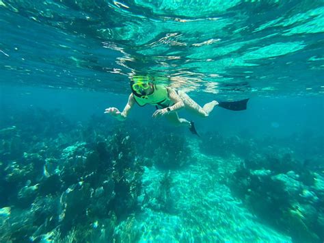 These 5 Snorkeling Tours Across Florida's Crystal-Clear Waters Will ...