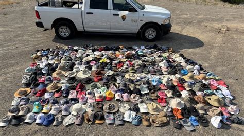 How Did Dinosaurs Have Sex A Guide To Studying Extinct Love Lives Iflscience