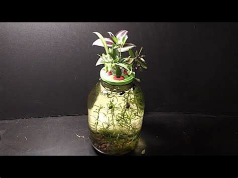 Aquarium Planter DIY : r/aquarium_garden