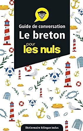 Guide De Conversation Le Breton Pour Les Nuls E D Amazon Co Uk