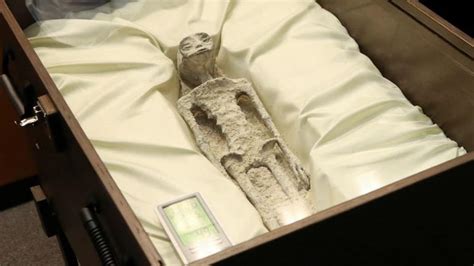 Mexico S Alien Mummies Are Unknown Species Experts Put Forth