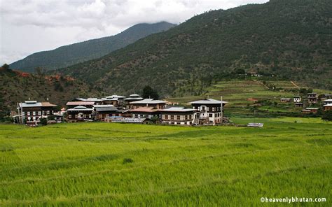 Nature Tours in Bhutan, Top Green Destination in Bhutan | HeavenlyBhutan