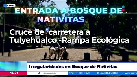 Denuncian Posibles Casos De Santería En El Bosque De Nativitas