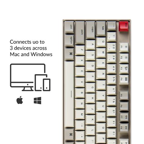 Mua Keychron K8 Tenkeyless Layout Hot Swappable Wireless Bluetooth