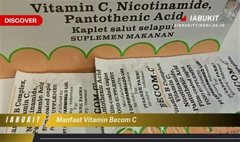 Ketahui 7 Manfaat Vitamin C Yang Jarang Diketahui Discover