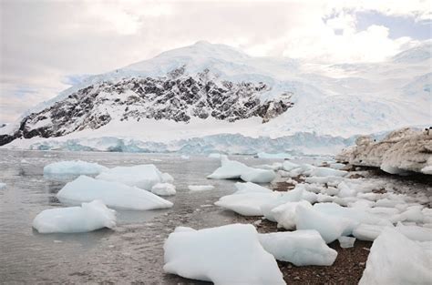 Grounded Icebergs Stock Photo Download Image Now Animal Wildlife