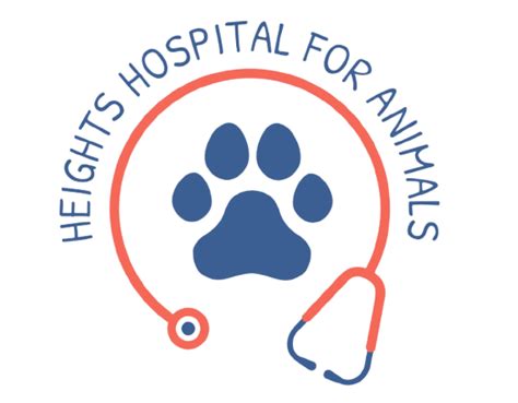 Vet in Yorktown Heights NY - Heights Hospital for Animals