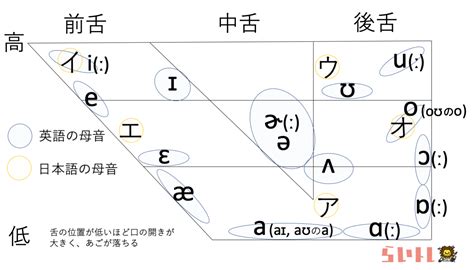 【アメリカ英語の全母音】発音＆発音記号の解説 上級英語ウェブメディア らいトレ