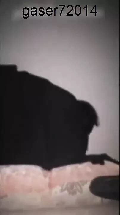 Masry Benek Sharmota Monaqba Hayga Mtgoza Free Hd Porn Xhamster