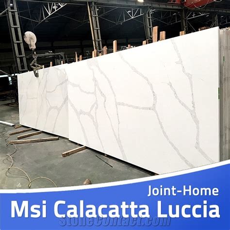 Msi Calacatta Luccia Quartz Stone Slabs For Countertop From China