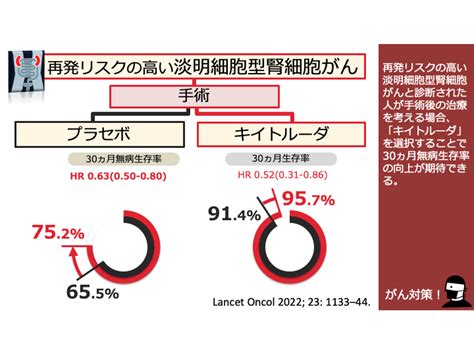 日本がん対策図鑑 【腎細胞がん：術後治療（30ヵ月dfs）】「キイトルーダ」vs「経過観察」