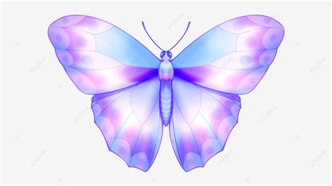 Dibujos Animados De Alas Coloridas Mariposa PNG Mariposa Alas De