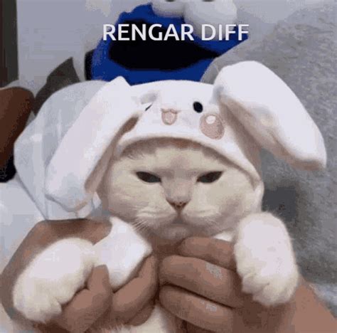 Rengar Rengar League Of Legends Rengar Rengar League Of Legends