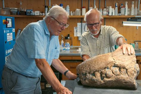 Massive pliosaur skull sheds light on ancient sea reptile | New Scientist