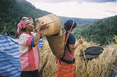 Sustainability In Action The Karen People S Farming System CodeBlue