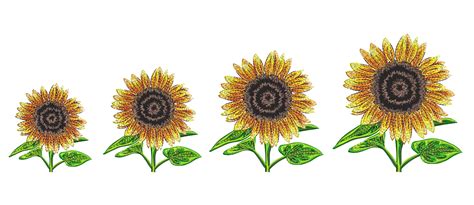 Sunflowers Machine Embroidery Designs Flowers Embroidery - Etsy