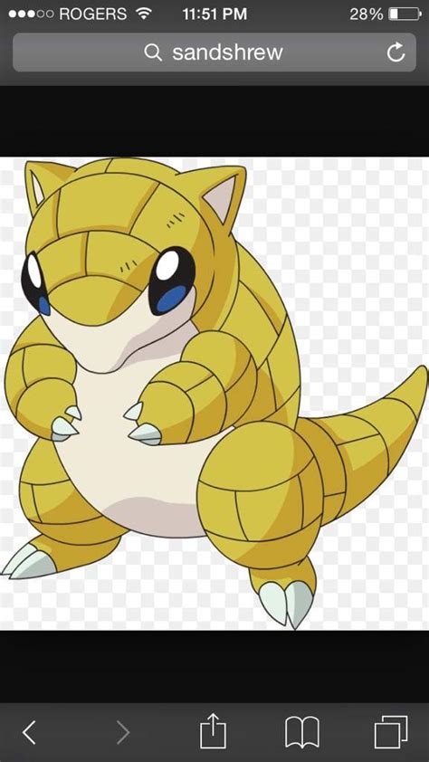 Sandshrew Wiki Pokémon Amino