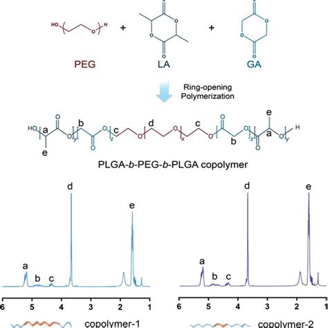 Schematic Graph Of Synthesis Route Of Plgabpegbplga Copolymer And