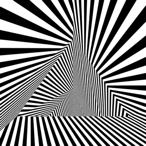 Optical Illusions 