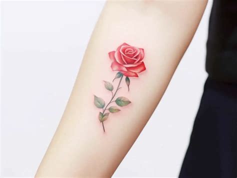 Rose Tattoo Meaning: A Deep Dive into the Symbolism and Beauty