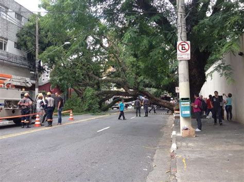 Vc Rep Rter Rvore Cai E Bloqueia Rua Na Zona Sul De Sp