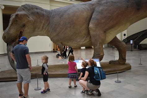 Sue the T. Rex gets life-like model to match skeleton - Chicago Sun-Times