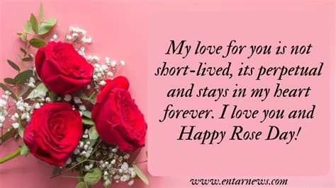 Rose Day Quotes, Wishes And Messages | Entarnews