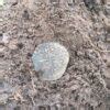 Metal Detecting Rules Uk Code Of Practice Discover Metal Detecting