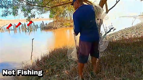 Menjala Ikan Di Sungai Dapat 5 Jenis Ikan Negei True YouTube