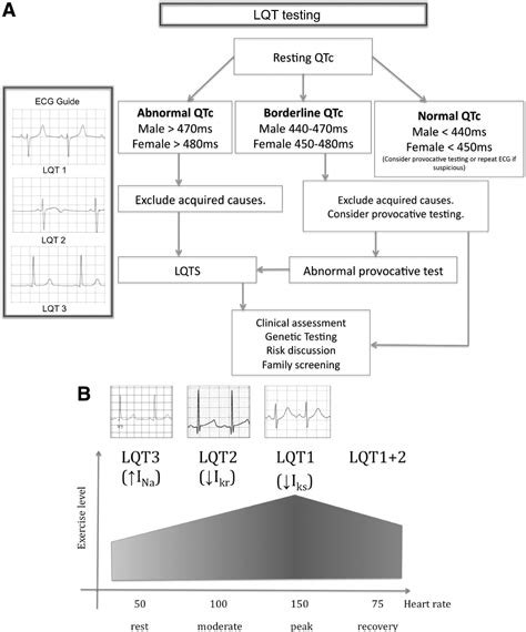 How To Perform And Interpret Provocative Testing For The Diagnosis Of