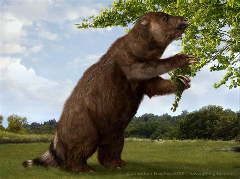 An ancient ancestor of the sloth, called Megatherium was the size of an ...