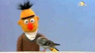 Sesame Street Bert Pigeon