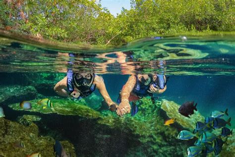 Xel-Ha Park All-Inclusive Admission Tickets