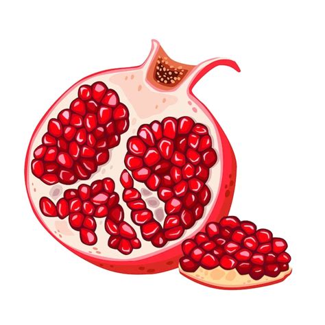 Premium Vector Juicy Ripe Pomegranate Fruit Piece Of Pomegranate With