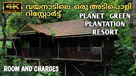 Tree House Resort In Wayanad 4k Uhd Planet Green Plantation Resort