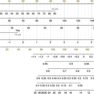 Prognostic Nomogram To Predict Individual Overall Survival Probability