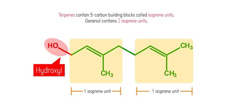 Geraniol – Duluth Labs