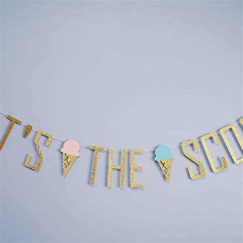 Whats The Scoop Sticker Gender Reveal Stickers Ice Cream Etsy