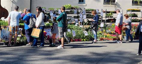 Un March Aux Plantes Tr S Fr Quent