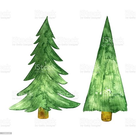 Pair Of Firs Fir Tree Watercolor Illustration Set Stock Illustration Download Image Now