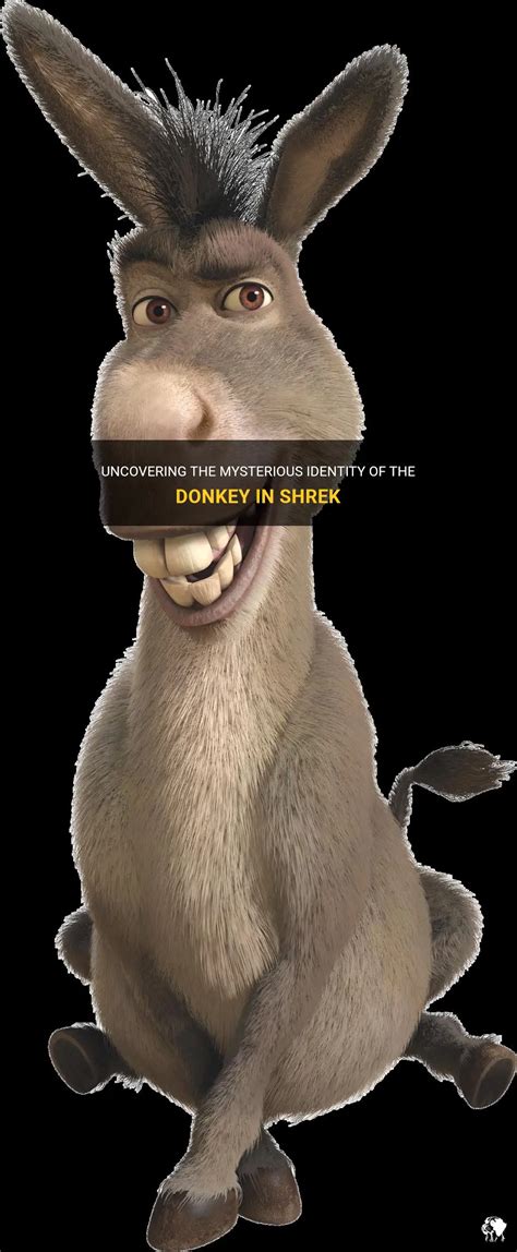 Uncovering The Mysterious Identity Of The Donkey In Shrek Petshun