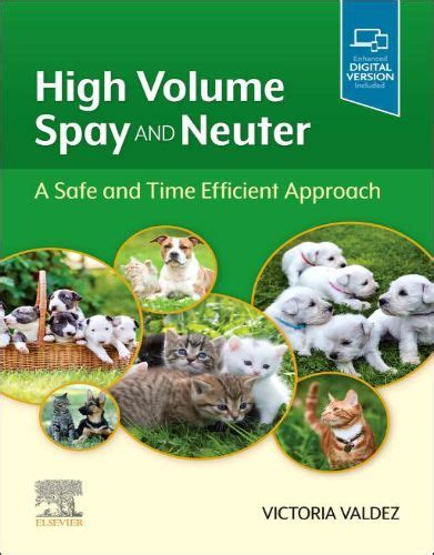 High Volume Spay And Neuter A Safe And Time Efficient Approach 2021