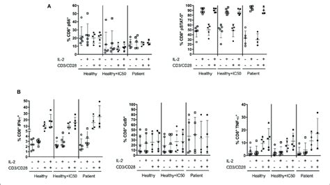 In Vitro IL 2 Treatment With TCR Activation Increases CD8 T Cell