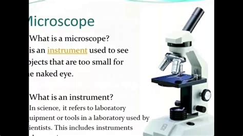 Part And Function Of Microscope Youtube